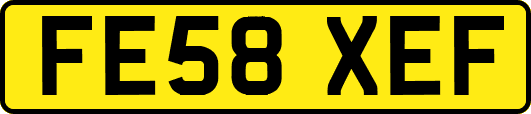 FE58XEF