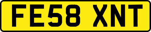 FE58XNT