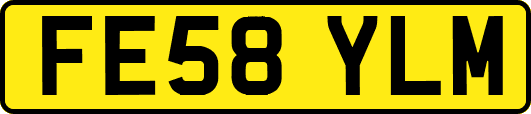 FE58YLM