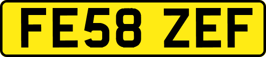 FE58ZEF