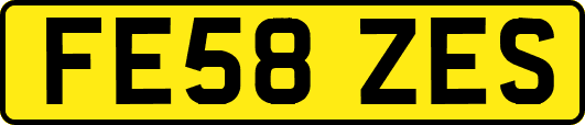 FE58ZES