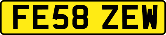 FE58ZEW