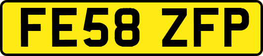 FE58ZFP