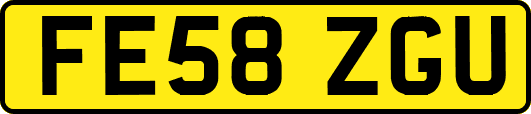 FE58ZGU