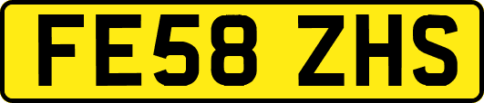 FE58ZHS
