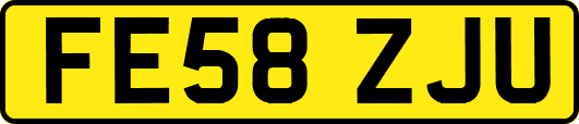 FE58ZJU