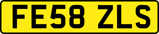 FE58ZLS