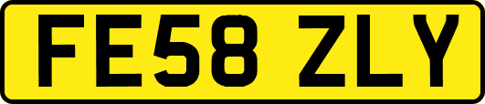 FE58ZLY