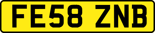 FE58ZNB