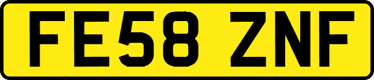 FE58ZNF