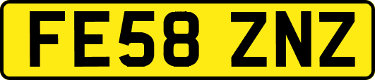 FE58ZNZ