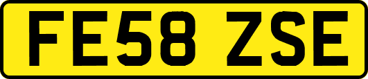 FE58ZSE