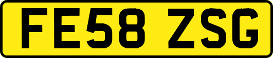 FE58ZSG