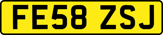 FE58ZSJ