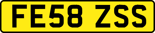 FE58ZSS