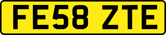 FE58ZTE