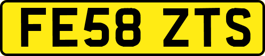 FE58ZTS