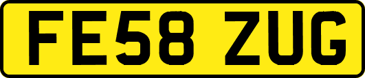 FE58ZUG