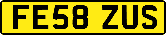 FE58ZUS