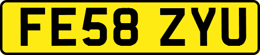 FE58ZYU