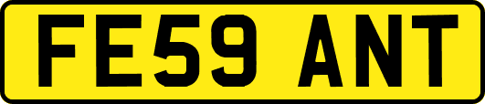 FE59ANT