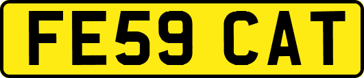 FE59CAT