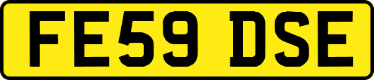 FE59DSE