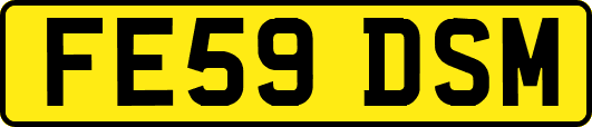 FE59DSM