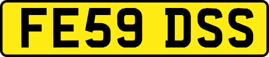FE59DSS
