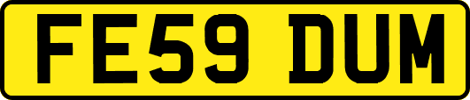 FE59DUM