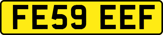 FE59EEF