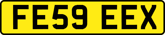 FE59EEX