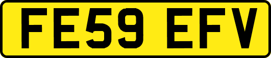 FE59EFV