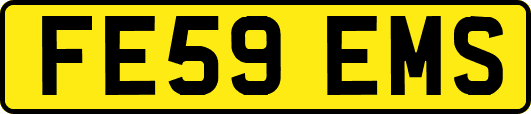 FE59EMS