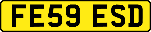 FE59ESD