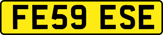 FE59ESE