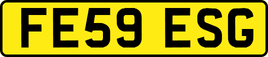 FE59ESG