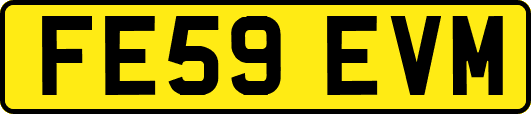 FE59EVM