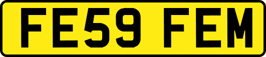 FE59FEM