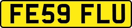 FE59FLU