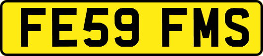 FE59FMS