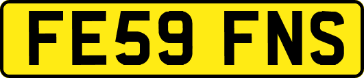 FE59FNS
