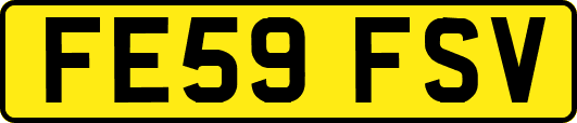 FE59FSV