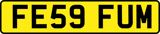 FE59FUM