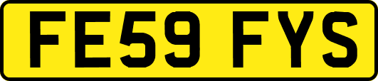 FE59FYS