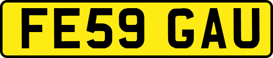 FE59GAU