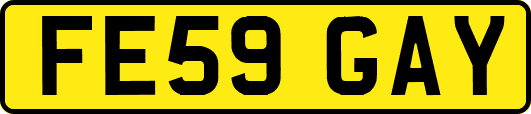 FE59GAY