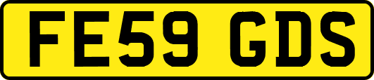 FE59GDS