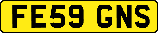 FE59GNS