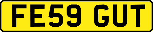 FE59GUT